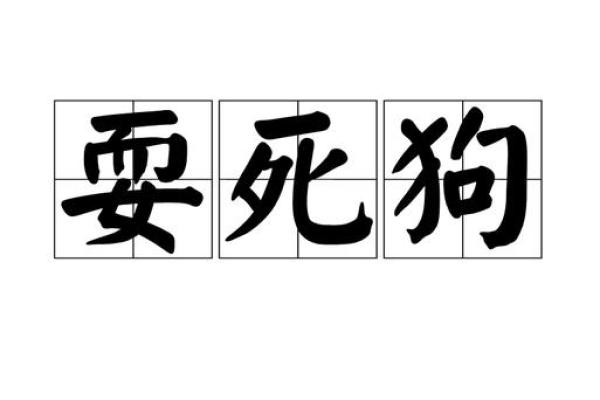 女人梦到死狗是什么征兆 女人梦到死狗是什么征兆