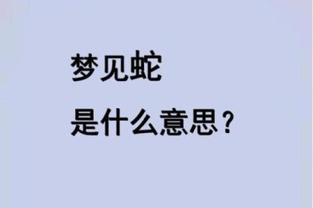 梦见蛇是不是怀孕的前兆