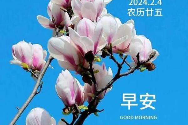 2024年立春图片