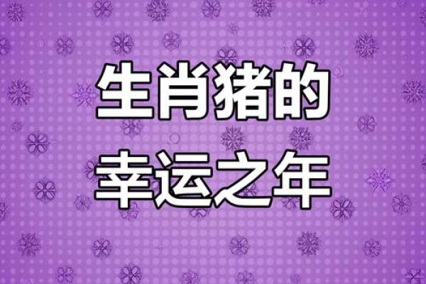1971年属猪女今年运势如何_1971年属猪女2023年运势解析财运健康感情全揭秘 1971年属猪女今年运势如何_1971年属猪女2023年运势解析财运健康感情全揭秘