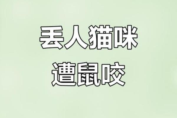 梦见被猫咬住不放甩不掉