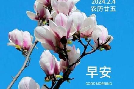 2024年立春图片