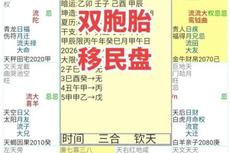 2025年4月12日卯时男命紫微斗数全解盘