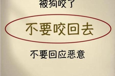 男人梦见狗咬是什么预兆