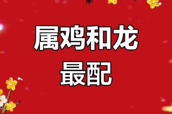 属鸡男的婚配属相最好_属鸡男的婚配表大全集