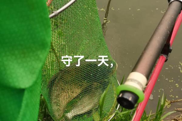 梦见钓到大鱼