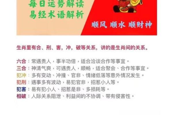 “火烧眉毛”打一正确的生肖，火烧眉毛打一个准确动物答案解释释义落实