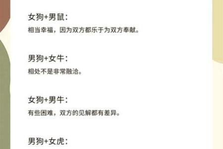1994年属狗的最佳婚配 女94年属狗的属相婚配表