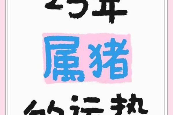 2025年属猪人几岁年龄计算与运势解析_1739487431