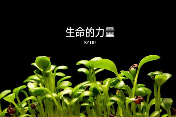 什么动土,什么是破土 什么动土,什么是破土