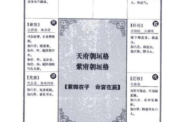 2025年4月18日巳时男命紫微斗数全解盘