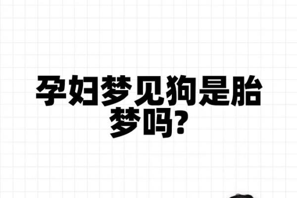 2345周公解梦原版免费梦见狗 2345周公解梦原版免费梦见狗
