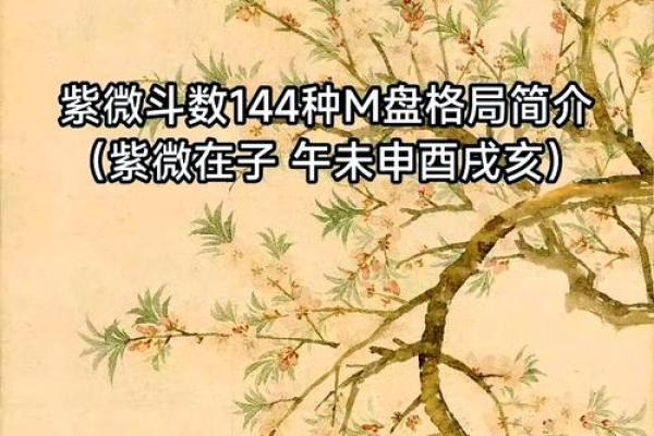 2025年4月14日亥时男命紫微斗数全解盘