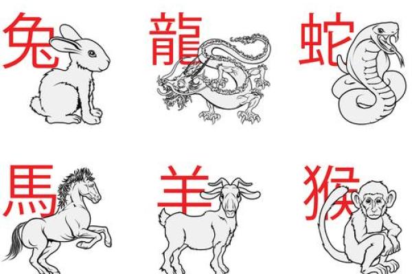 光说不练是什么生肖(光说不练是什么生肖正确答案)