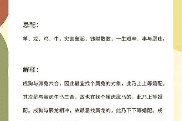 2024年属狗人的全年运势1982出生_2024年属狗人全年运势解析1982年出生者必看