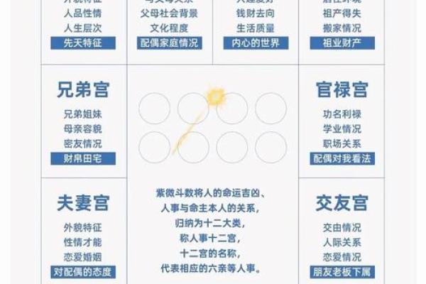 2025年4月25日酉时女命紫微斗数全解盘