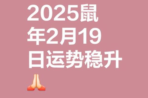1996女鼠2025年运势