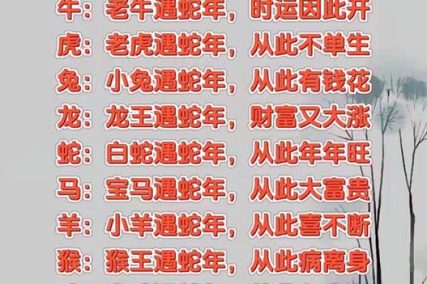 “与虎谋皮”打一个生肖动物，与虎谋皮打一生肖答案解释释义落实