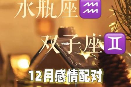 双子座水瓶座