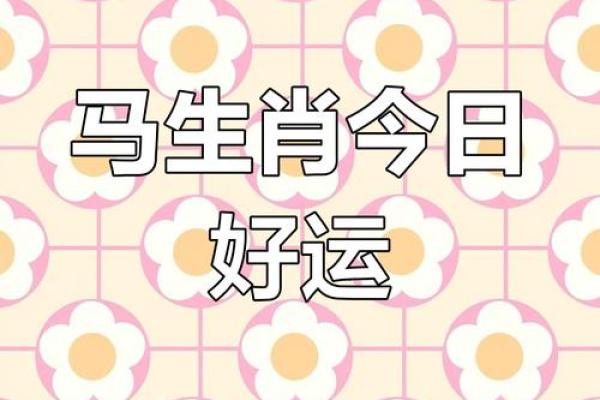 2025年属马人的全年每月运_属马2025年运势及运程详解每月