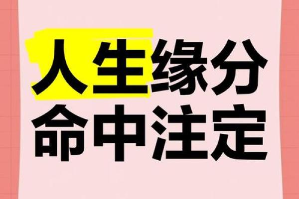 什么是命中注定的姻缘 什么是命中注定的姻缘呢