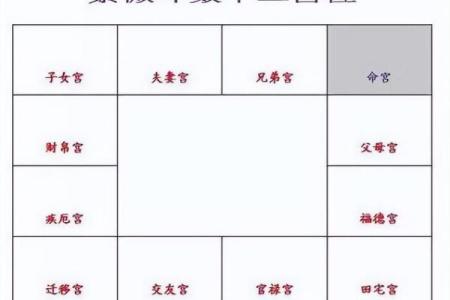 2025年4月8日辰时女命紫微斗数全解盘