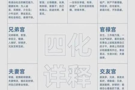 2025年4月27日亥时男命紫微斗数全解盘