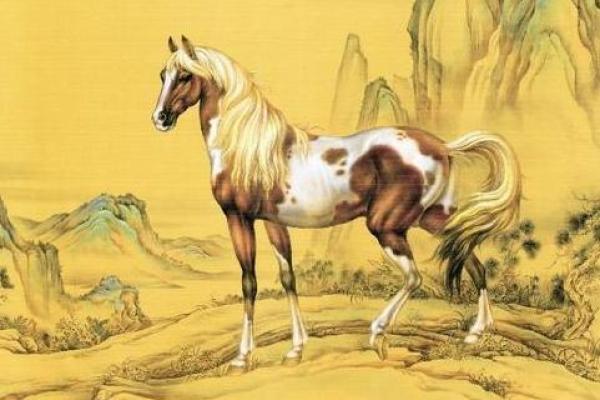 五体投地指什么生肖