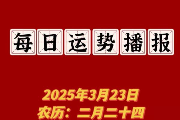 十二星座2025年2月运势_十二星座2025年2月运势详解