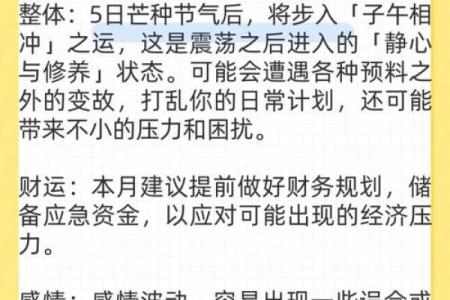 84年鼠女2025年属鼠人的全年运势