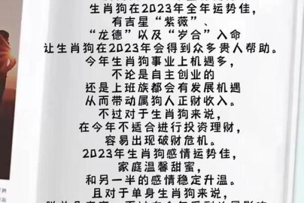 1982年属狗人2025年运势及运程_1982年属狗人2025年运势详解运程预测与吉凶分析