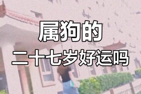 1994年属狗一生运势 1994年属狗一生运势详解财运事业爱情全解析