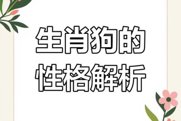1994年属狗五行属什么揭秘94年狗年出生者的命运与五行属性