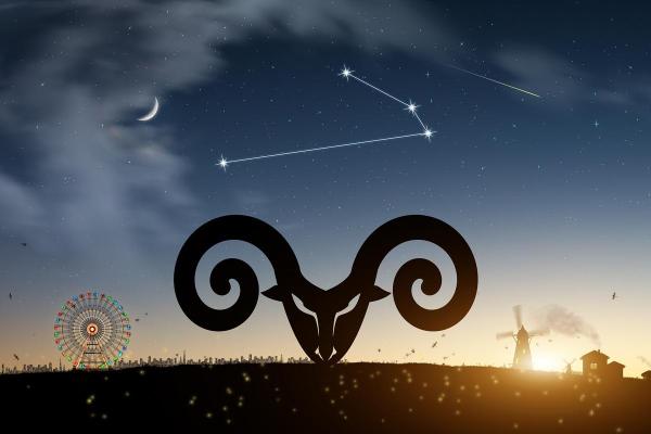 白羊座男生2025年运势