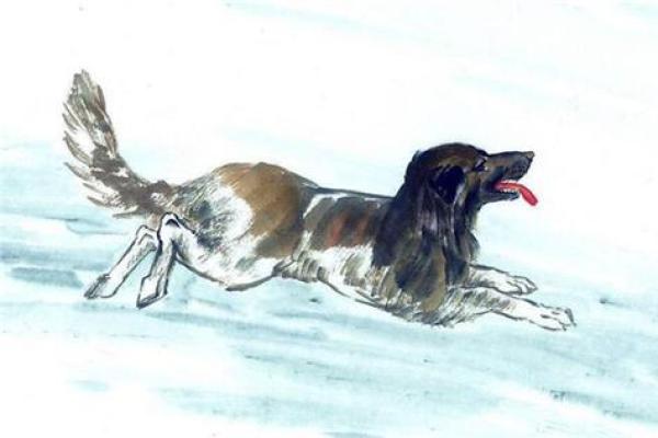 1970年属狗的每月运势 免费版 1970年属狗每月运势详解免费版全年运程预测