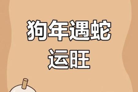 2006年属狗男2025年运势详解运程走向与关键转折点