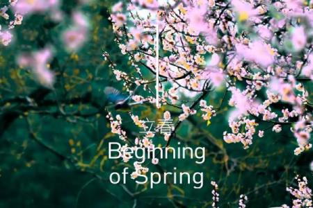 2022年的最后一个节气