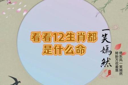 明察秋毫是什么生肖