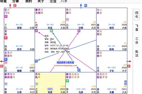 2025年4月4日子时男命紫微斗数全解盘