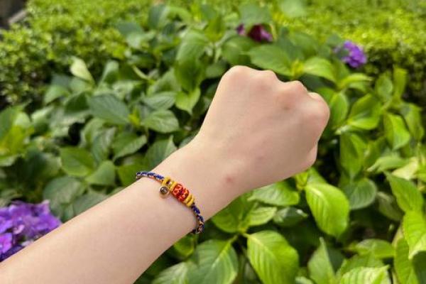 “美轮美奂”打一最佳准确生肖，美轮美奂是什么生肖答案解释释义落实