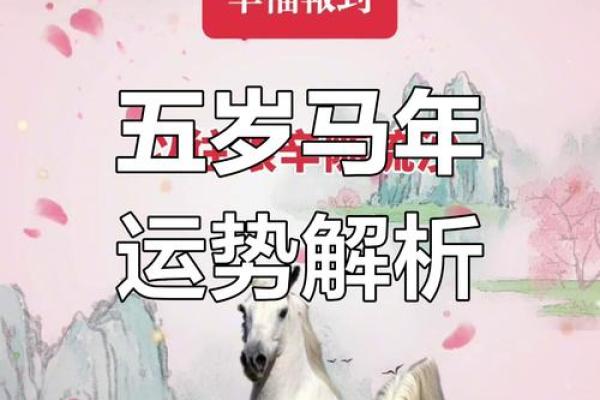 属马的一生运气和命运_属马的一生运程