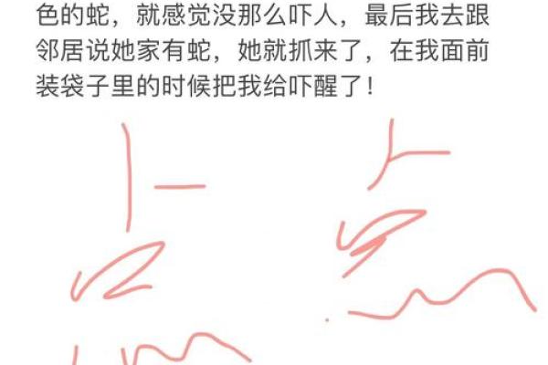 女人梦见两条蛇什么预兆