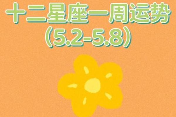 属狗女今天打麻将运势_属狗女今天打麻将运势第一星座