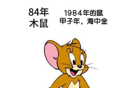 1984年鼠今年运势
