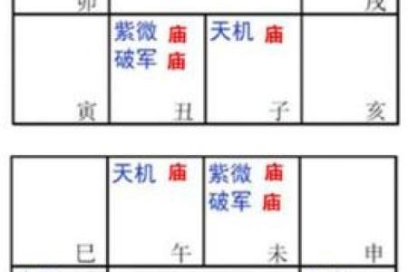 2025年4月7日卯时女命紫微斗数全解盘