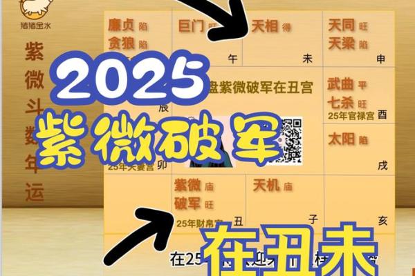 2025年4月20日戌时男命紫微斗数全解盘