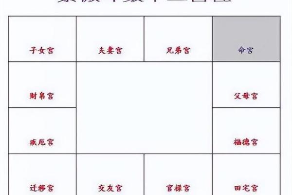 2025年4月8日子时女命紫微斗数全解盘