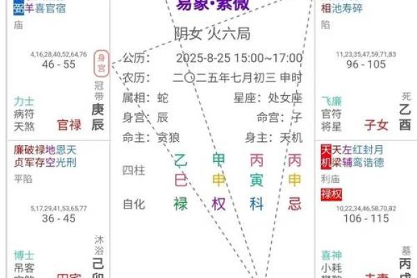2025年4月9日子时女命紫微斗数全解盘 2025年4月9日子时女命紫微斗数全解盘