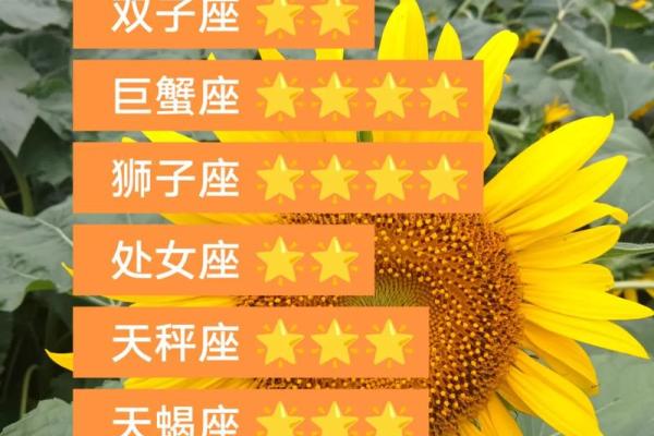 白羊座女今日运势超准已婚(白羊女今日运势星座运势)