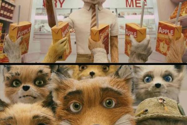 偷鸡摸狗打一个生肖(偷鸡摸狗打一个生肖动物)